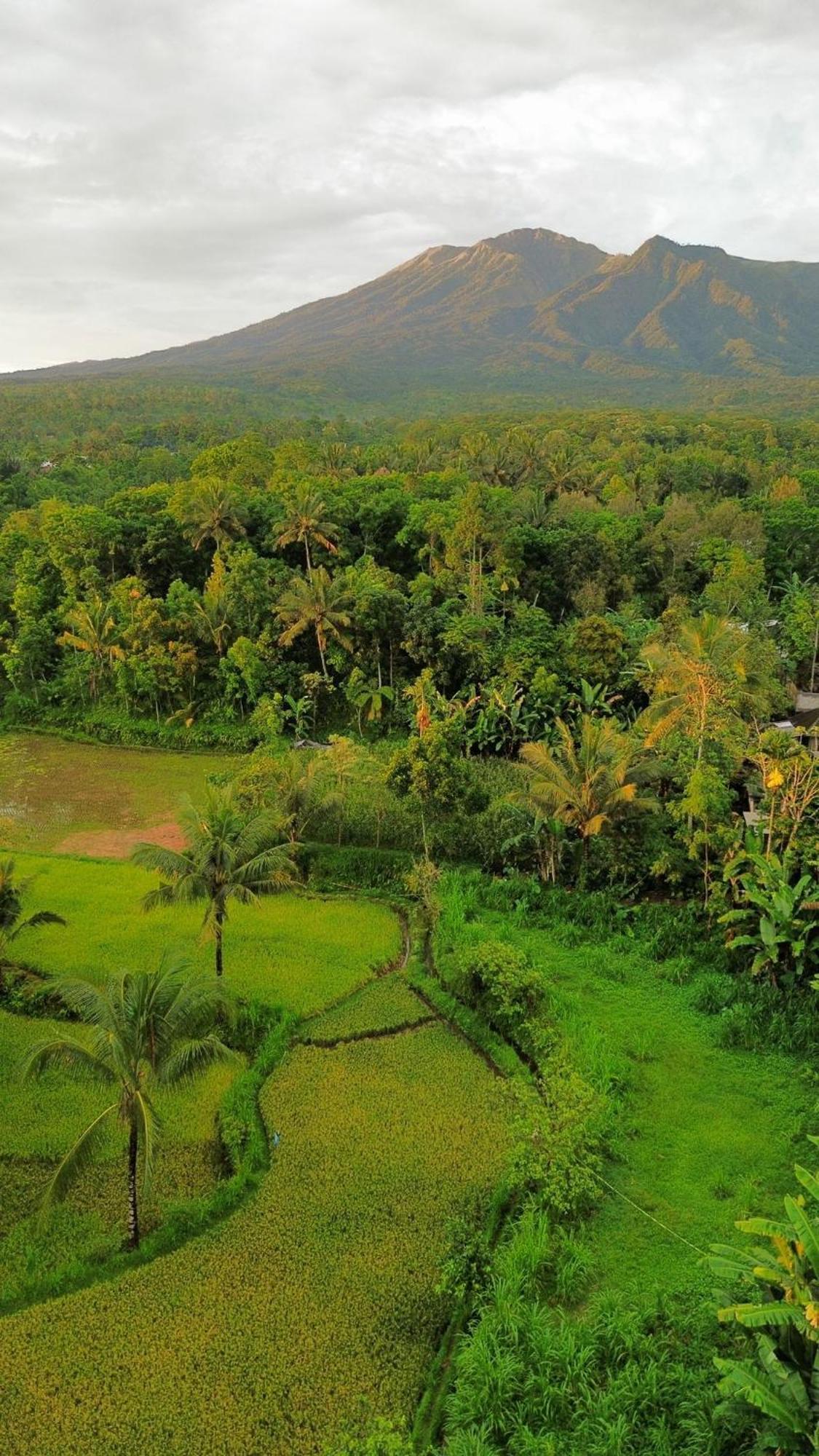 Tetebatu Indah Homestay Extérieur photo