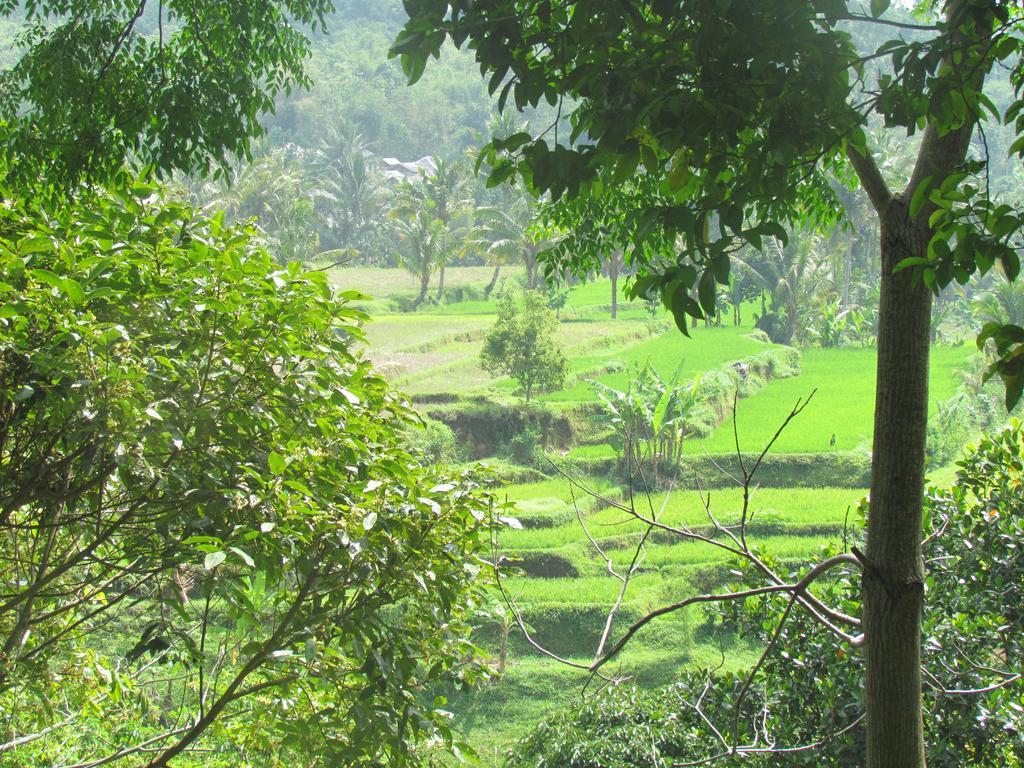 Tetebatu Indah Homestay Extérieur photo