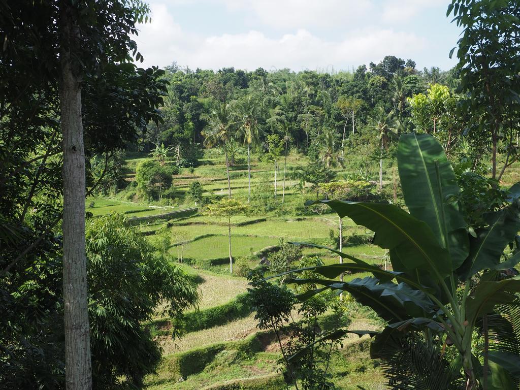 Tetebatu Indah Homestay Extérieur photo